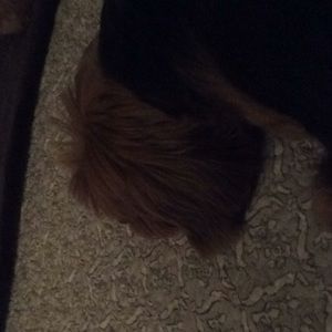 Meet your Posher, Beth